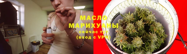 шишки Мегион
