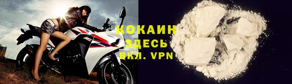 шишки Мегион
