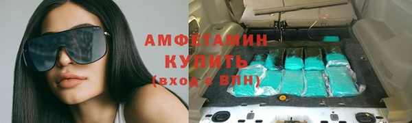 шишки Мегион