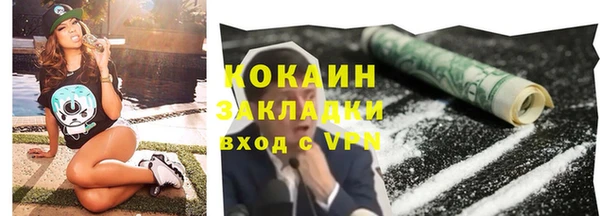 шишки Мегион