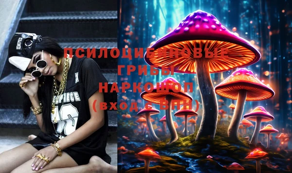 шишки Мегион