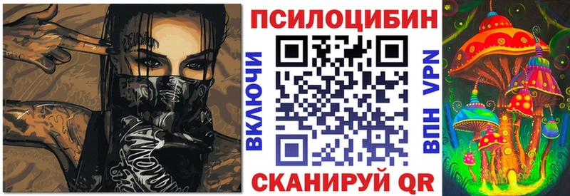 Галлюциногенные грибы прущие грибы  Беслан 