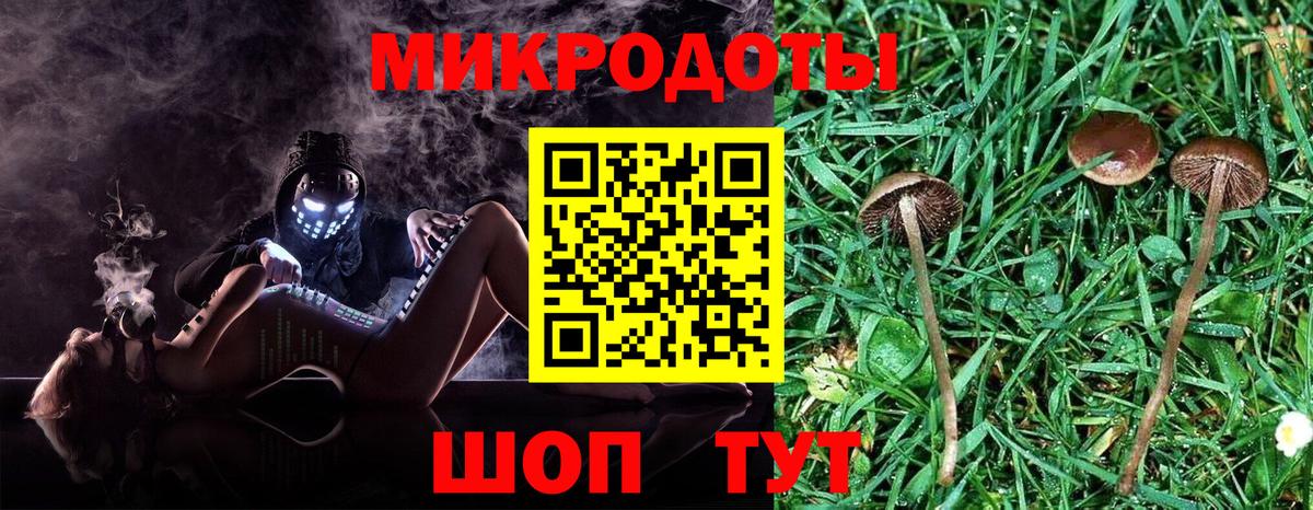 Псилоцибиновые грибы GOLDEN TEACHER Беслан