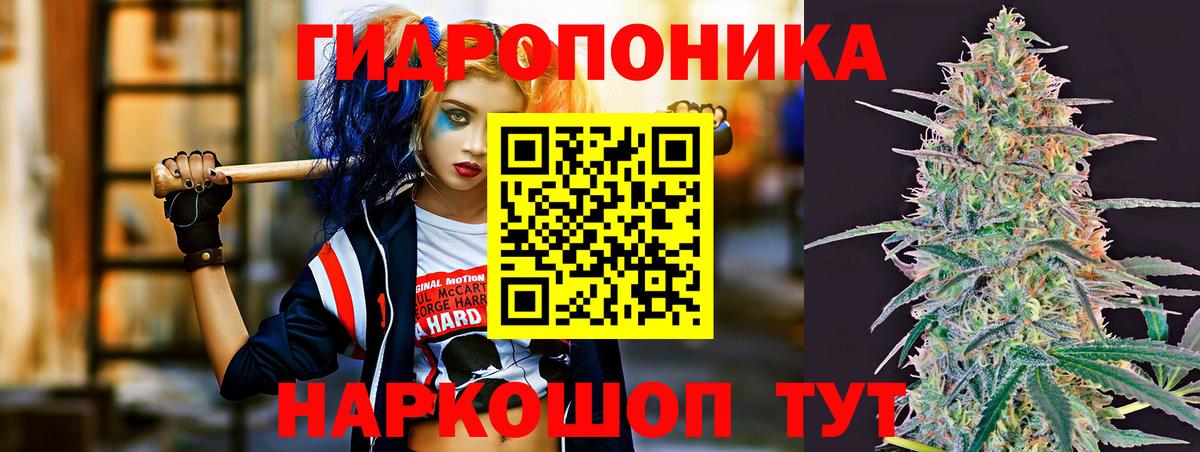 МАРИХУАНА SATIVA & INDICA Беслан
